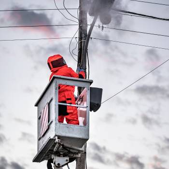 intervention frelons asiatiques sur lampadaire