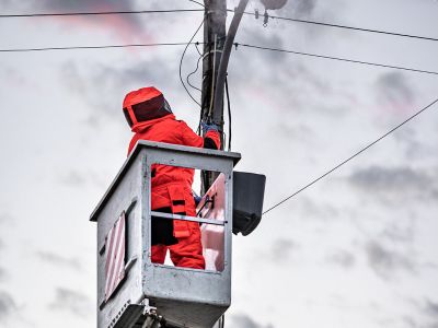 Désinsectisation de nos désinsectiseurs sur des frelons asiatiques .