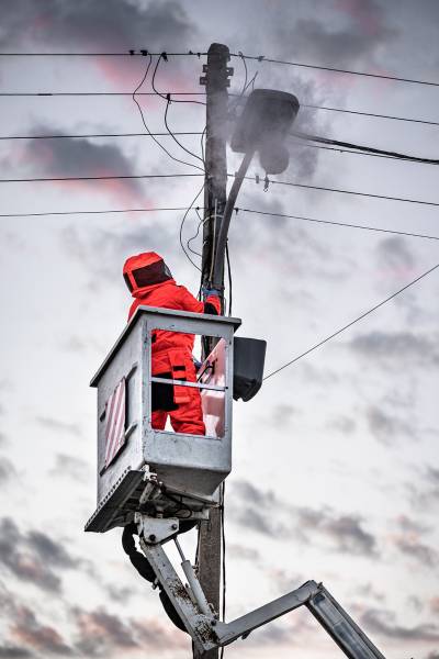 Désinsectisation de nos désinsectiseurs sur des frelons asiatiques .