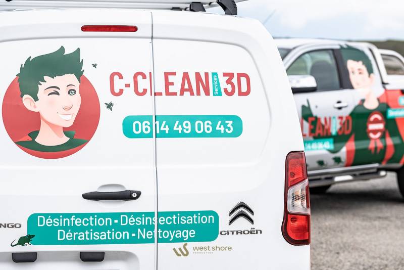 Intervention  par les desinsectiseurrs de  C Clean Services 3D sur des frelons asiatiques sur les cimune de saint pierre quiberon et carnac